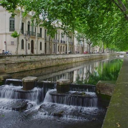 Le Nid Douillet Lejlighed Nîmes Eksteriør billede