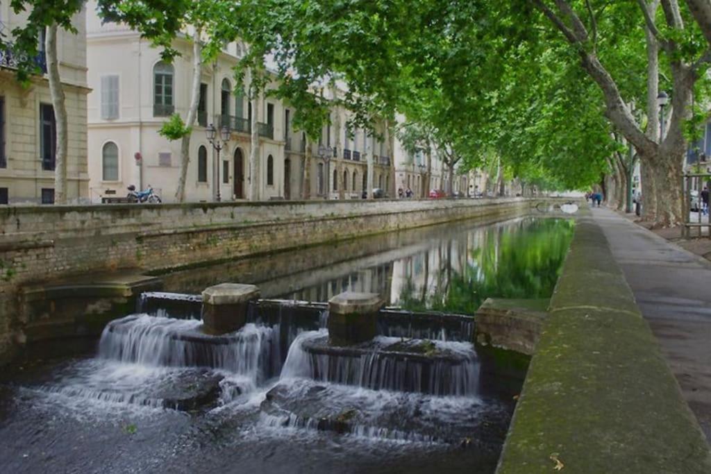 Le Nid Douillet Lejlighed Nîmes Eksteriør billede